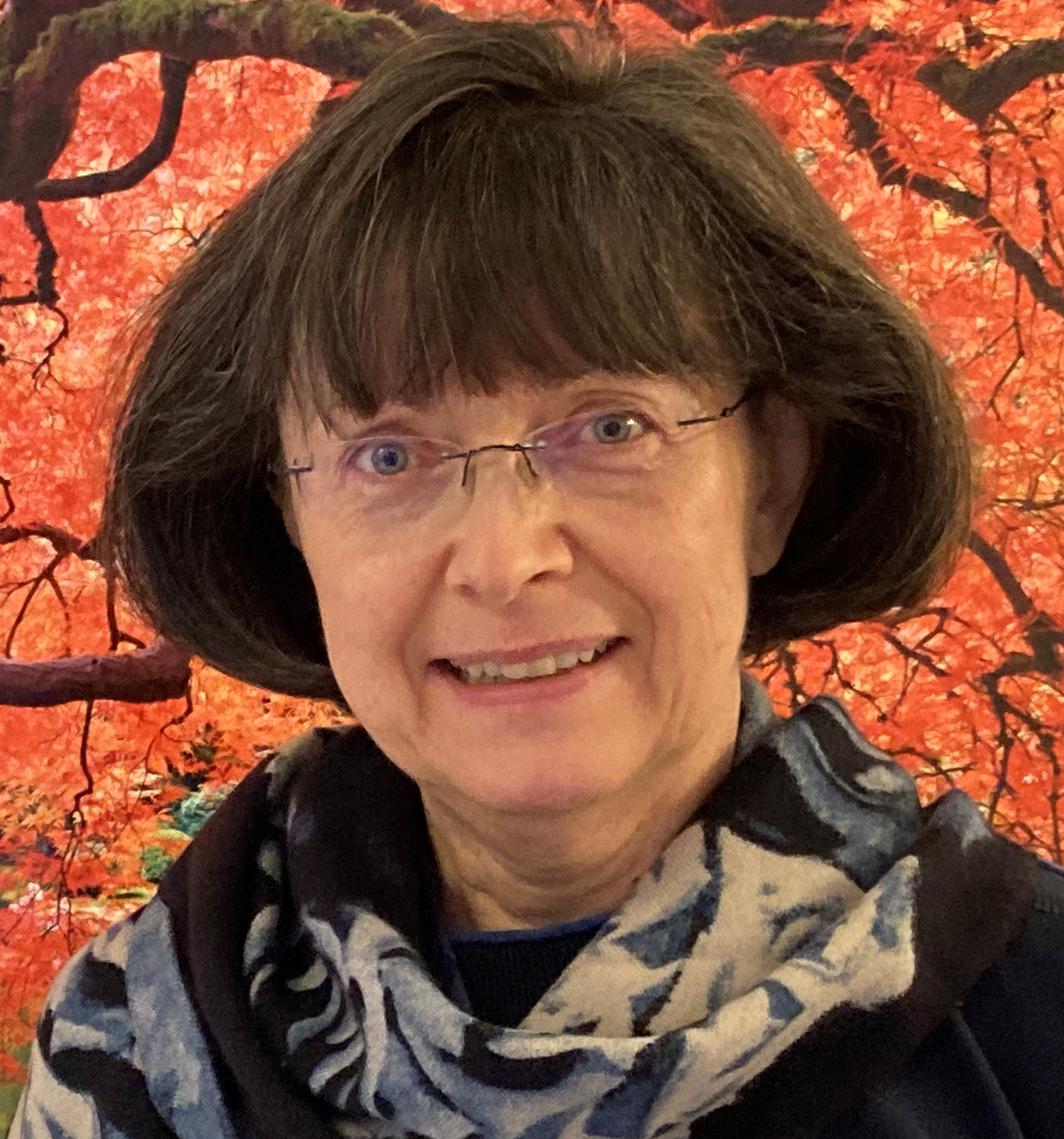 tl_files/Bilder/personen/Lehrer/Birgit Scholze_Profil.jpeg